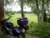 PICT4293_1