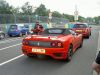 PICT4333_1