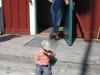 Riddarrundan-2012-010_resize