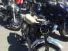u20130525_115554_600_800