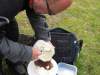 img_5029_800x600