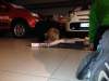 hlr-kurs-22-nov-13-4-_800x600