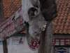 img_1625_800x600