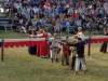 img_1646_800x600